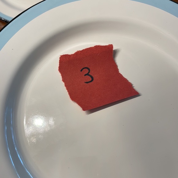 NWOT Set of 6 Hearth & Hand Magnolia Enamel Dinner Plates Farmhouse - Picture 6 of 13